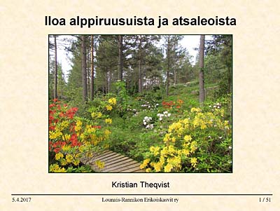 Hybridisering av härdiga rhododendron och azaleor