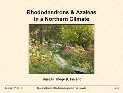 Rhododendrons in Northern Climate