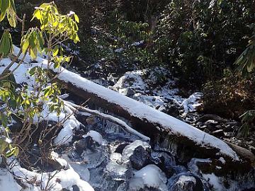 PB111721_1024px Icy stream, Rhododendron uvariifolium on left, 3620 m