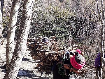 PB081424_1024px Local women cut firewood from the trees. We went back to the Feilaisi Mingzhu Hotel in Deqen.