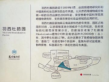 PB162128_map_1024px Kunming Botanical Garden, Rhododendron Garden was established in 2009