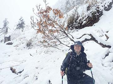 PB051119_2018_11_05_Nanjieluo_Kristian_and_rex_fictolacteum_1024px Kristian and Rhododendron rex ssp. fictolacteum , 3600 m