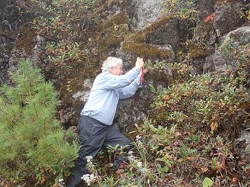 PA280143_1_Kristian_30.10.2018_photo_Matti_Huotari Kristian found Rhododendron sulfureum , 3070 m, photo by Matti Huotari