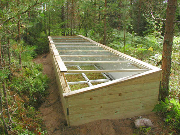 Cold frame