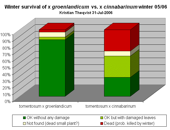 Winter survival of x groenlandicum vs. x cinnabarinum
