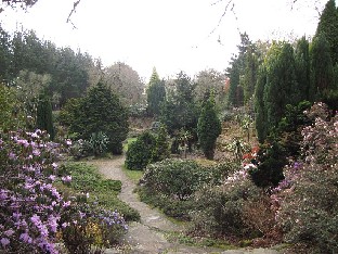 IMG_4382_Exbury_Gardens