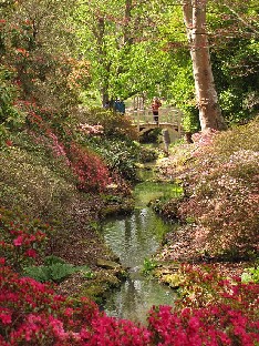 IMG_4418_Exbury_Gardens