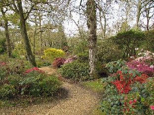 IMG_4421_Exbury_Gardens