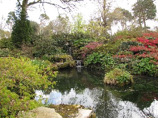 IMG_4423_Exbury_Gardens