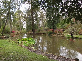 IMG_4429_Exbury_Gardens