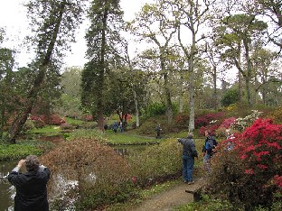 IMG_4431_Exbury_Gardens