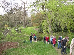 IMG_4986_High_Beeches