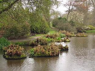 IMG_4168_Savill_Gardens