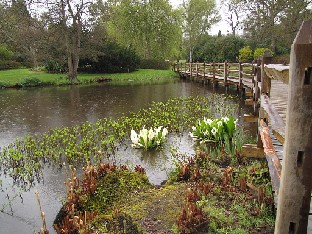 IMG_4212_Savill_Gardens