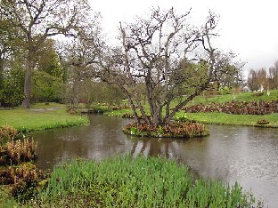 IMG_4214_Savill_Gardens