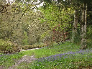 IMG_4638_Wakehurst_Place