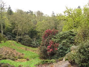 IMG_4641_Wakehurst_Place