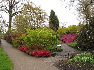 IMG_4668_Wakehurst_Place