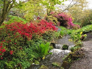 IMG_4670_Wakehurst_Place