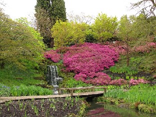 IMG_4677_Wakehurst_Place