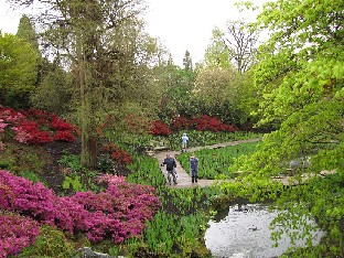 IMG_4679_Wakehurst_Place