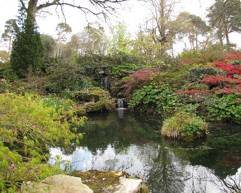 Exbury Gardens, 24.4.2012 Exbury Gardens, 24.4.2012