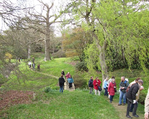 High Beeches, 27.4.2012 High Beeches, 27.4.2012