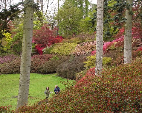 Valley Gardens, 23.4.2012 Valley Gardens, 23.4.2012