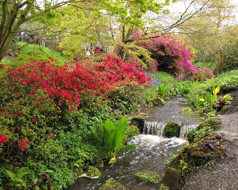 Wakehurst Place, 26.4.2012 Wakehurst Place, 26.4.2012