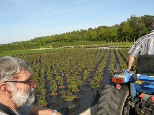 P5228748_Denis_Hughes_New_Zealand_pottipeltoa_Bruns Denis Hughes from New Zealand, pot fields at Bruns