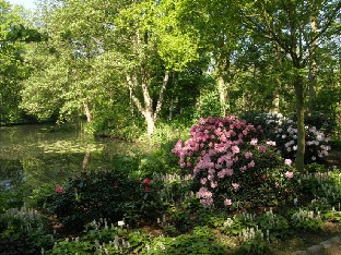 P5218493_Rhododendron-Park_Bremen The pond