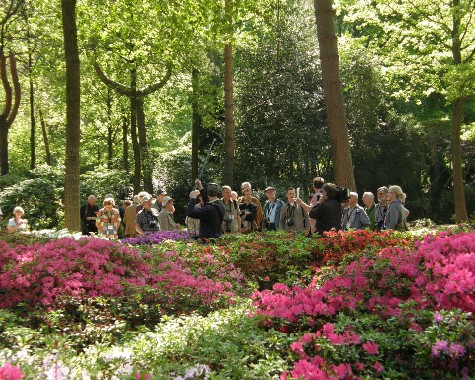 Rhododendron-Park, Bremen, 21.5.2010 Rhododendron-Park, Bremen, 21.5.2010