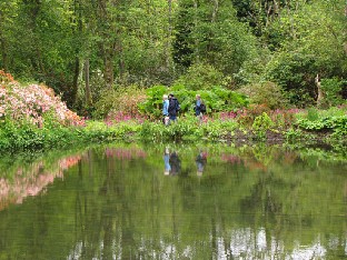 IMG_1267_Achamore_Gardens Pond in the woodland garden