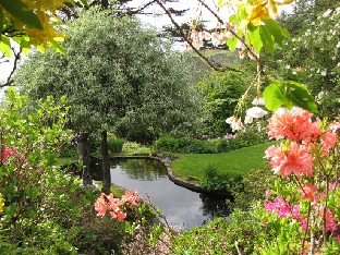 IMG_1457_the_pond_in_the_garden