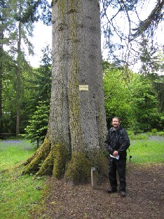 IMG_1610_Maurice_and_Abies_grandis_planted_1875 Maurice Wilkins and Abies grandis , planted 1875