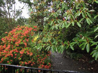 IMG_1298_entrance_to_the_garden Entrance to the garden