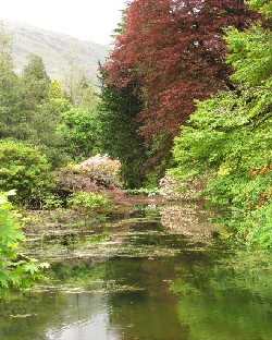 IMG_0861_Benmore_Botanical_Gardens