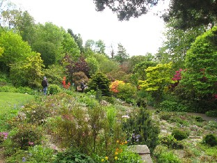 IMG_1805_first_view_to_the_garden First view to the garden