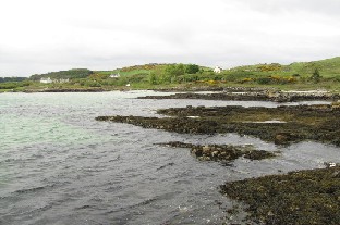 IMG_1176_Gigha Shores of Gigha. 2011-05-11