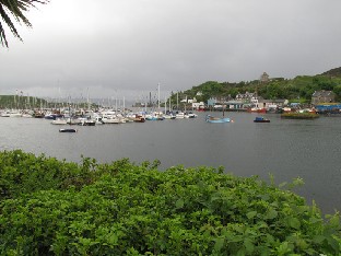 IMG_1291_on_the_way_back_from_Gigha_to_Stonefield_2011_05_11 On the way back from Gigha to Stonefield. 2011-05-11