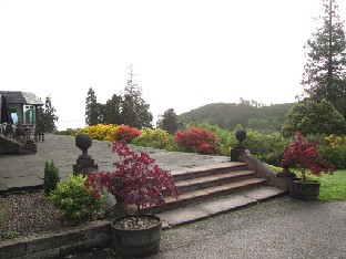 IMG_1001_azaleas_along_the_patio