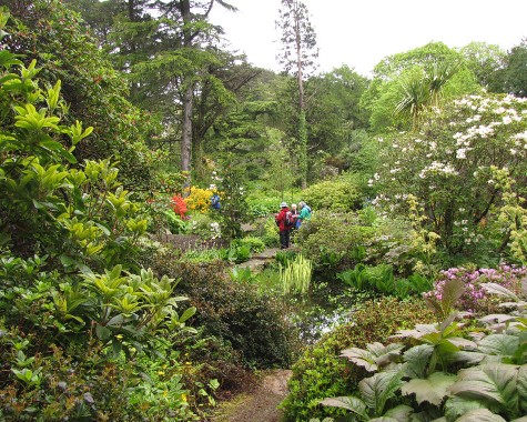 Arduaine Garden 2011-05-12 Arduaine Garden 12 May 2011