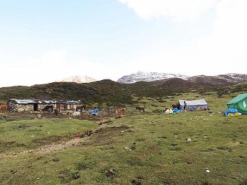 IMG_1509_camp_at_Dzongri_160505 Back to Doring camp site for breakfast, 4060 m (06:12)