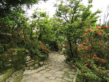 IMG_2238_garden_of_Hidden_Forest_Retreat_Hotel_in_Gangtok_160513 The garden of the Hidden Forest Retreat Hotel (06:00)