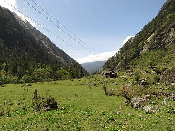 IMG_1684_on_the_road_Lachen-Thangu_3100m_160509 Road side view, Lachen - Thangu 3100 m (09:03)