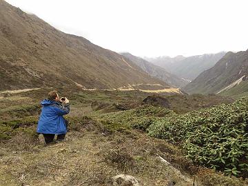 IMG_1758_Thangu_to_Muguthang_4200m_160509 Photographing towards the valley where we came, Thangu - Muguthang 4200 m (12:01)