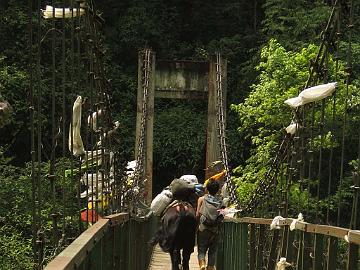 IMG_1303_cow_yaks_bridge_trek_Sachen-Tshoka_160502 Cow-yaks on the bridge (09:00)