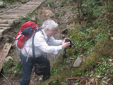 IMG_1020_Kristian_Tshoka-Dzongri_160504_photo_by_Teemu Kristian photographing a Primula , Tshoka - Dzongri 3200 m (08:26)