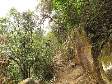 IMG_1250_trek_Yuksam-Sachen_160502 Trail from Yuksam to Sachen (12:21)