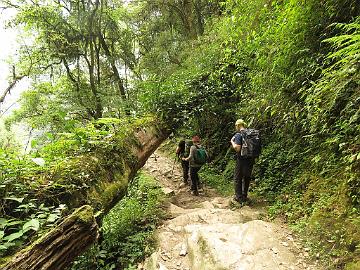 IMG_1253_after_4h_20min_trek_Yuksam-Sachen_160502 Trail from Yuksam to Sachen, after trekking about four hours (12:49)